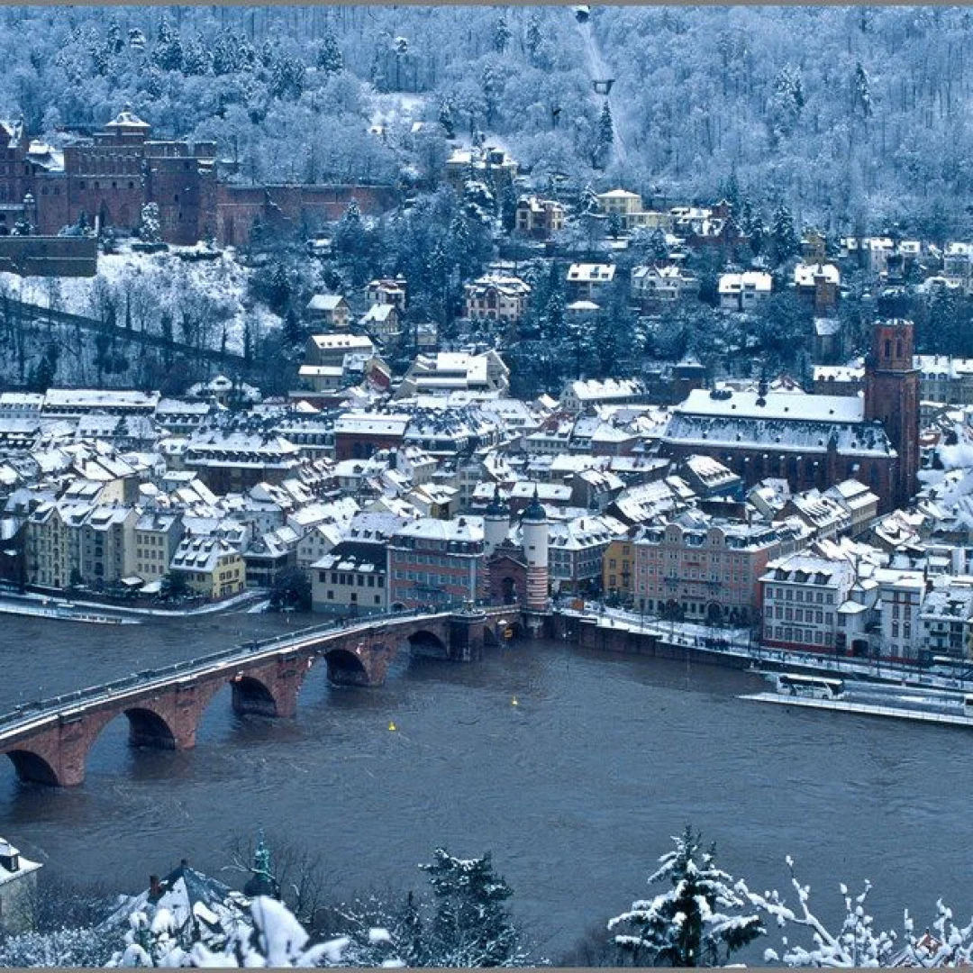 Slider Img