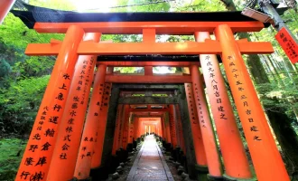 Japonya Turu - 7 Gece - THY ile