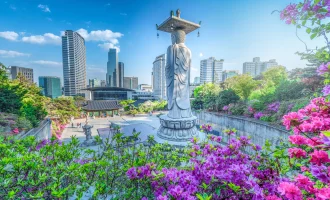 Japonya & Kore Turu - 8 Gece - THY ile