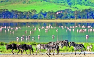 Afrika'nın Kalbi Tanzanya