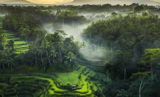 Ubud & Bali Serüveni - 4* Konaklamalı  - Emirates Hava Yolları ile