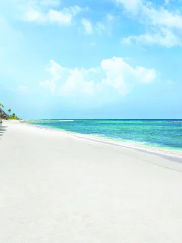 Pasifik Gemi Turları