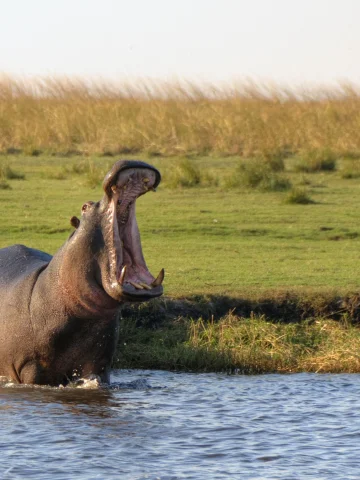 Botswana Turları