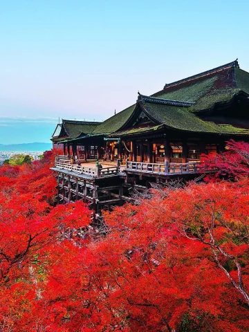 Japonya Turları