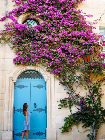 Malta Turları