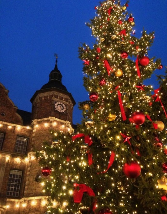 MPS River Diamond Gemisi ile ile Ren Nehrinde Noel Pazarları