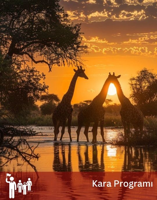 Güney Afrika & Vıktorıa Şelaleleri & Botswana Safari