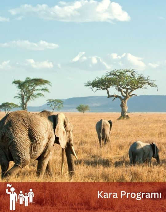 Büyük Göç Zamanı Tanzanya & Zanzibar