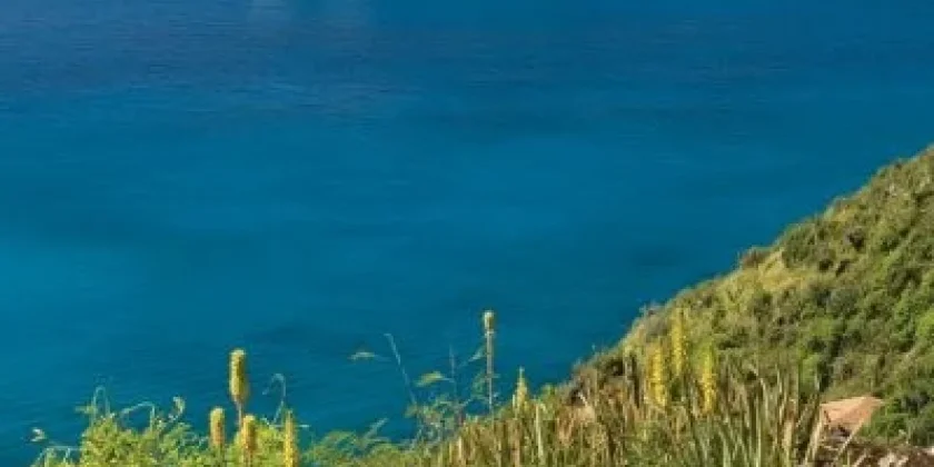 Slider Img