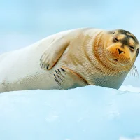 Slider Img